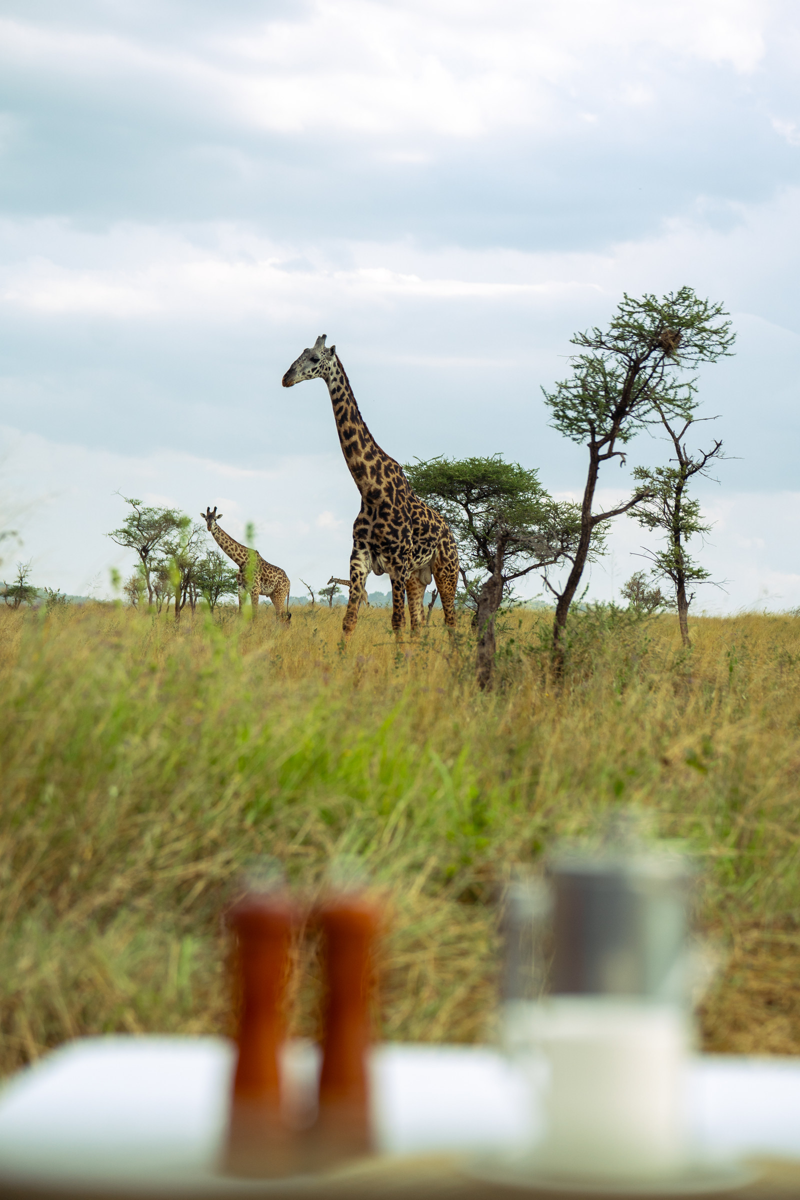 Itika Serengeti Camp
